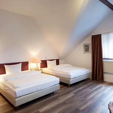 מלון Buergerhof 3*