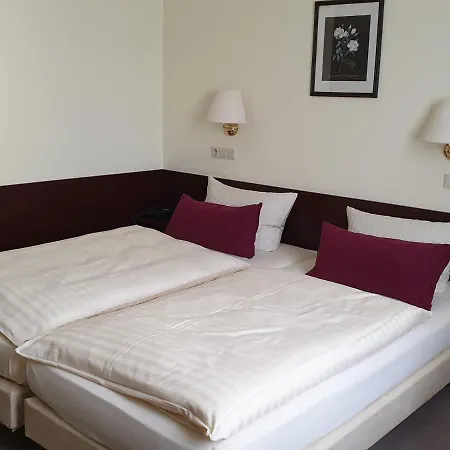 Hotel Buergerhof